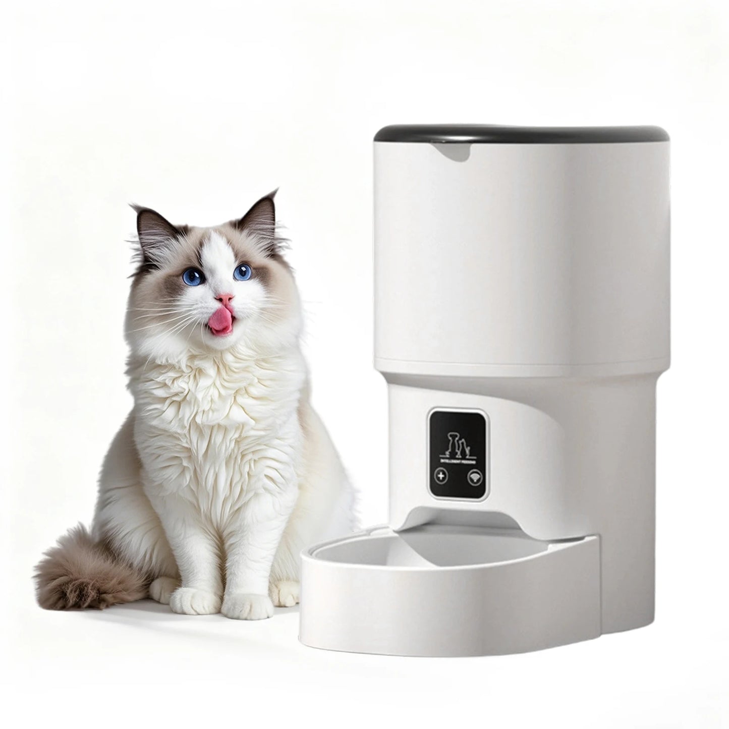 Distributeur automatique programmable 4L, contrôle du débit