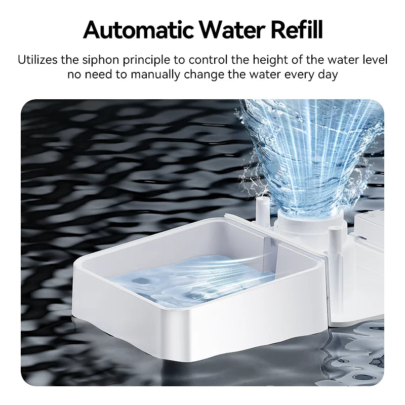 Distributeur automatique WIFI programmable