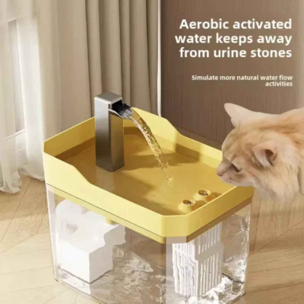 Fontaine à eau avec filtre, distributeur à recirculation automatique