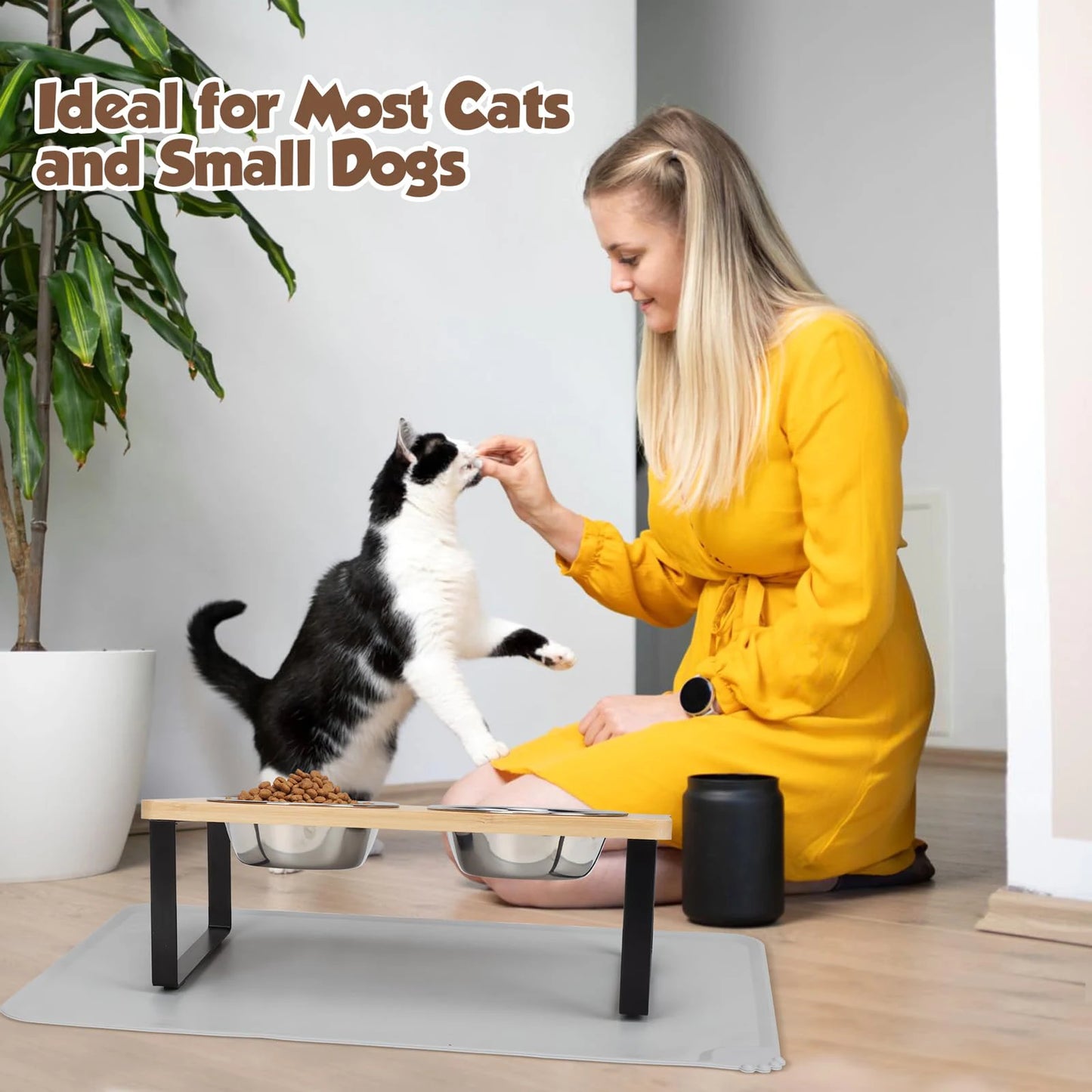 2 bols en acier inoxydable pour chats, inclinés à 15 °