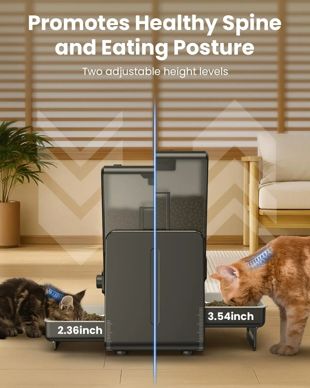 Distributeur automatique 5g WIFI programmable