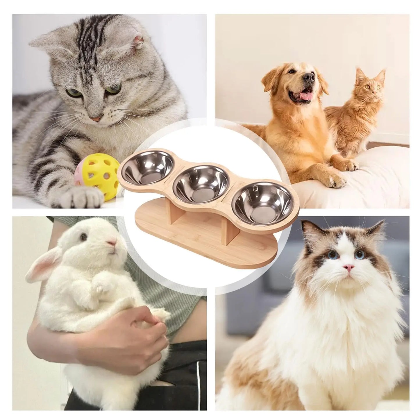 3 bols en acier inoxydable pour chats, finition bois, inclinés à 15 °